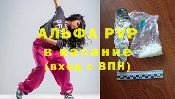 сатива Дмитриев