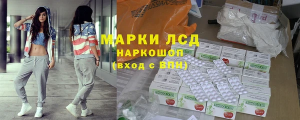 гидра Дмитров